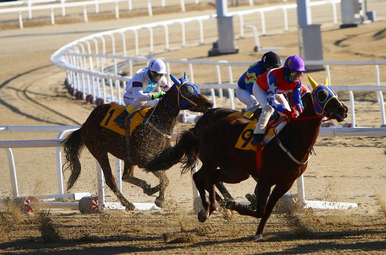 How to Popular Horse Racing Betting Apps: Step-by-Step Guide for India (2027)